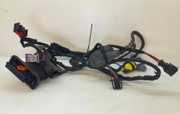 Volkswagen Golf Plus Front door wiring loom 5M1971121A