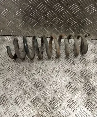 Rear coil spring