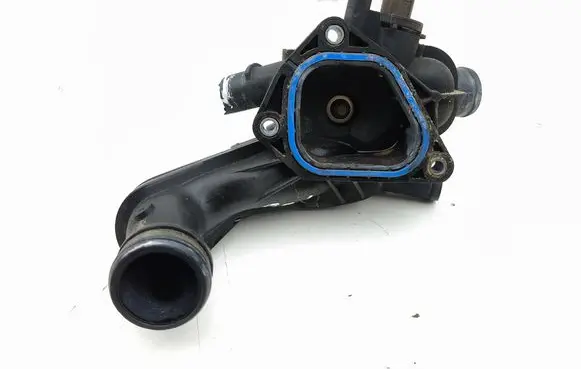Thermostat/thermostat housing