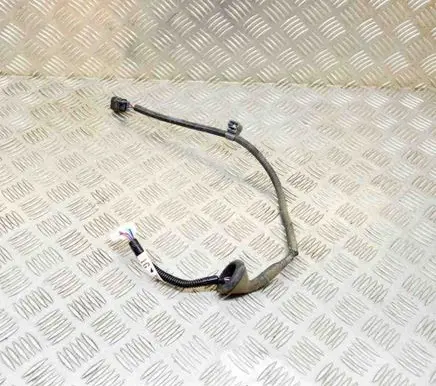 Lexus NX Other wiring loom 8218178010