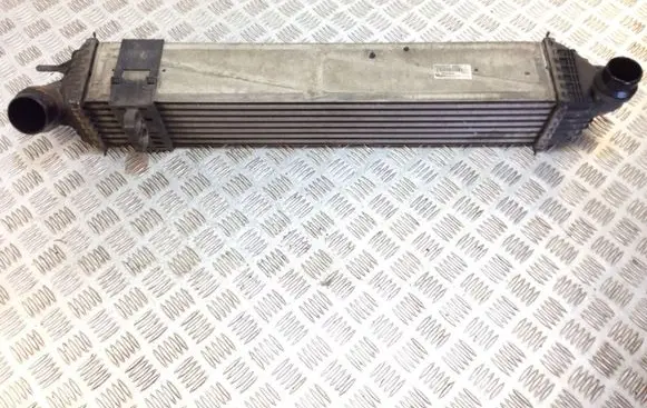 Renault Laguna III Intercooler radiator 14496000R M4925005