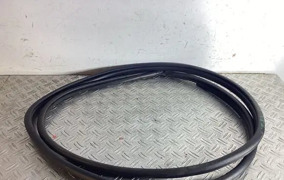 Lexus NX Front door rubber seal 