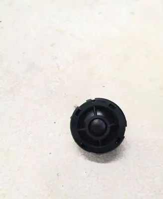 Ford Mustang VI Front door high frequency speaker