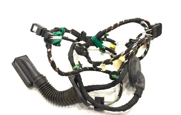 Volkswagen T-Roc Front door wiring loom 2GA971120BD