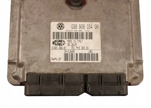 Seat Cordoba (6L) Engine control unit/module 036906034GM
