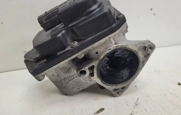 Volkswagen Tiguan EGR valve 03L131501
