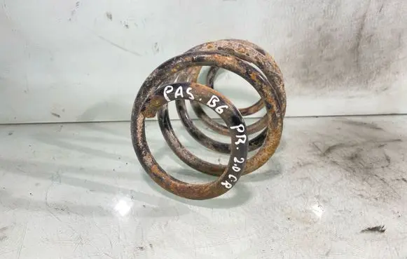 Volkswagen PASSAT B6 Front coil spring 