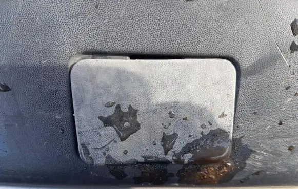 Citroen Xsara Rear bumper row hook cap/cover 