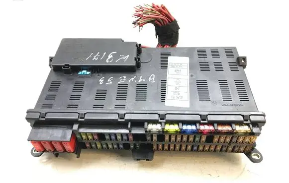 BMW X5 E53 Fuse module 8384527 K3171