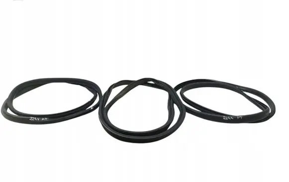 Renault Megane III Rubber seal front door (on door) 