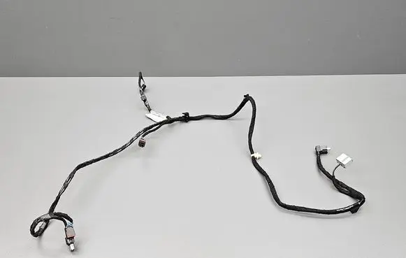 Ford Fiesta Sound system wiring loom C1BT18B971ABC