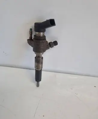Peugeot 508 Fuel injector 50274V05 9674973080