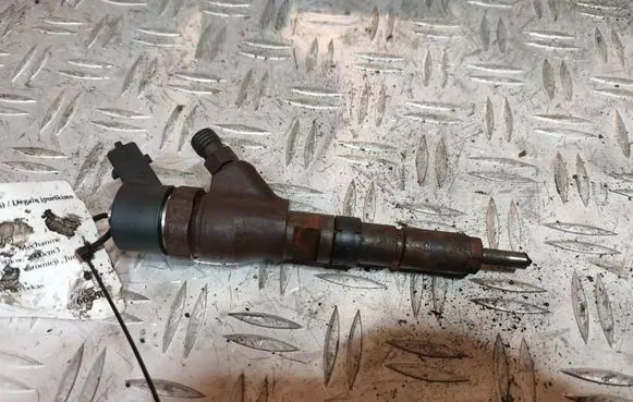 Peugeot 307 Fuel injector 0445110076 9641742880