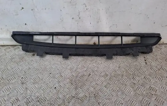 Porsche Cayenne (9Y0 9Y3) Front bumper lower grill 9Y0807684