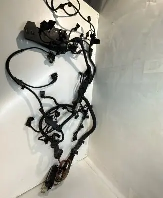 Engine installation wiring loom