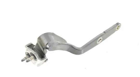 Tailgate/trunk/boot hinge