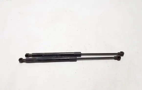 Renault Megane E-Tech Tailgate strut 904515108R