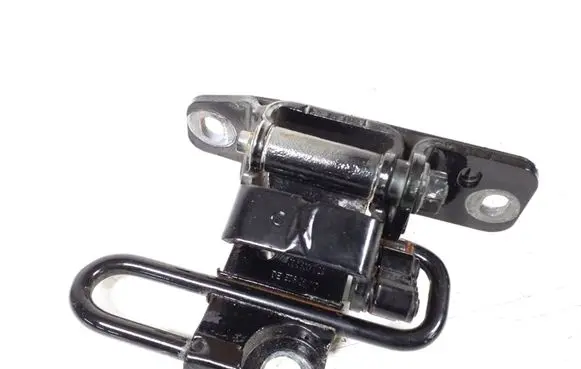 Rear door lower hinge