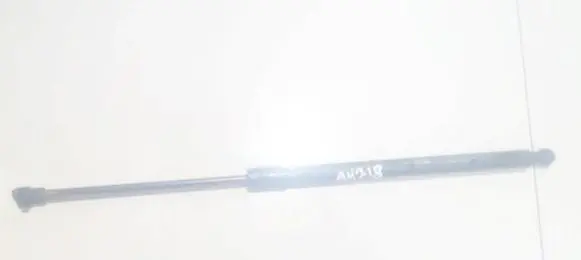Chevrolet Captiva Tailgate/trunk strut/damper 96830123