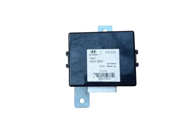 Hyundai ix 55 Other control units/modules 957003J100 B8J9300406