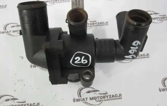 Thermostat/thermostat housing