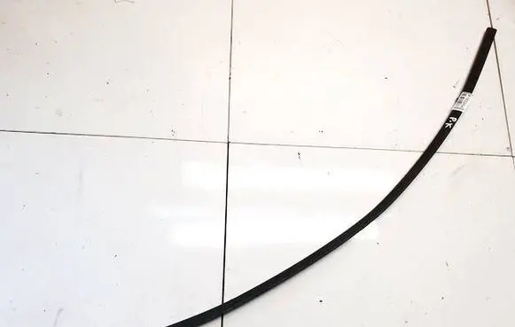 Citroen DS3 Front door glass trim molding 