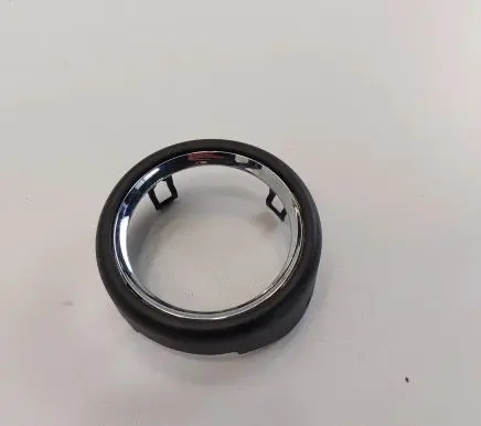 Other front door trim element