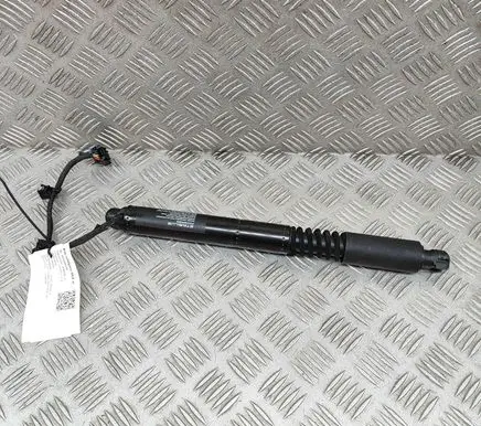 Tesla Model X Other devices 106344100C