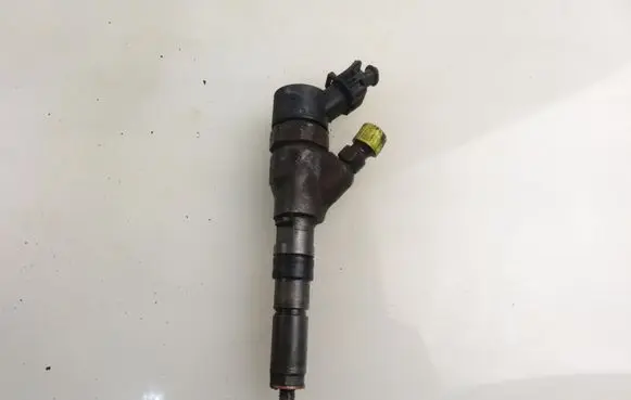Fiat Ducato Fuel injector 0445110076