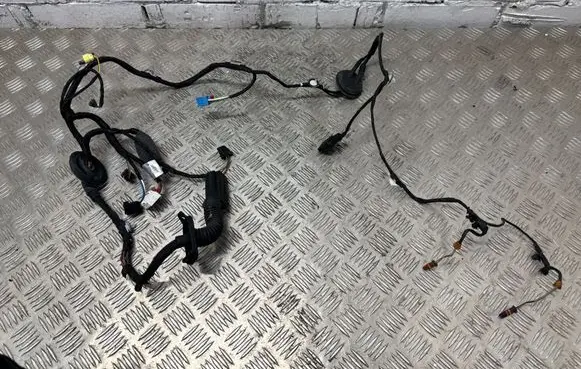 Audi Q5 SQ5 Front door wiring loom 80A971030AE