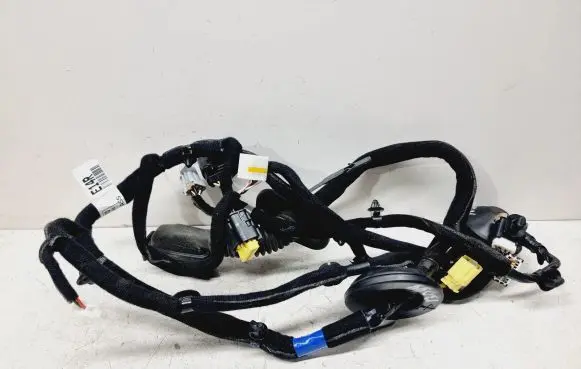 Front door wiring loom