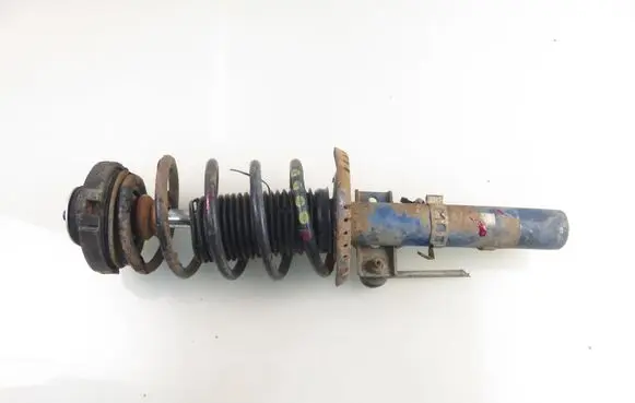 Skoda Roomster (5J) Front shock absorber with coil spring 