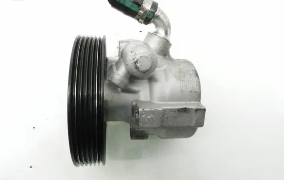 Peugeot Partner Power steering pump 11146310016