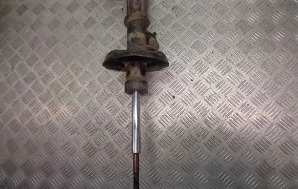 Opel Insignia A Front shock absorber/damper E4612001