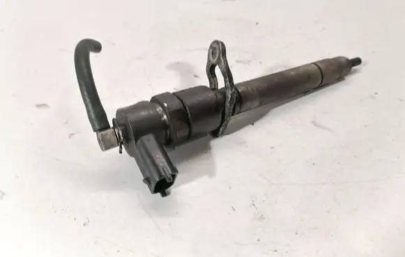 Volvo V70 Fuel injector 3075028E