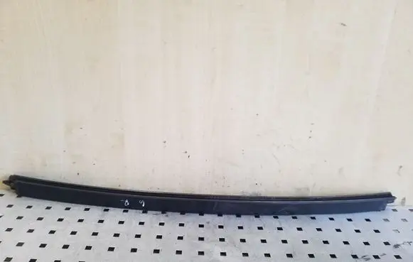 Dacia Sandero Rear door windshield rail 