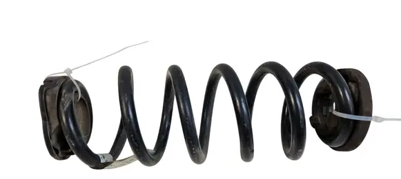 Ford Escape IV Rear coil spring LX615560 LX615560NND L52632020