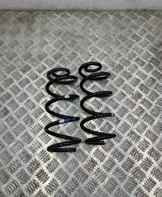 Renault Arkana Rear coil spring