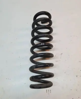 Rear coil spring
