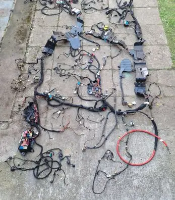 Other wiring loom
