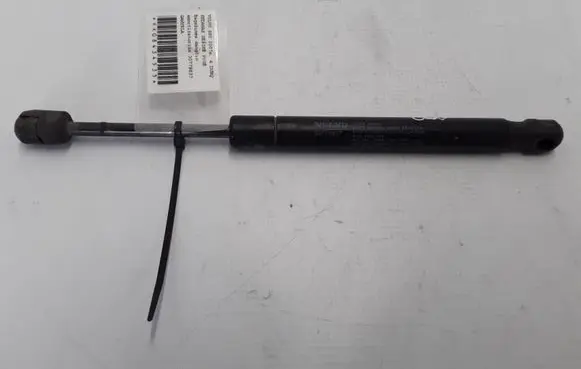 Tailgate strut