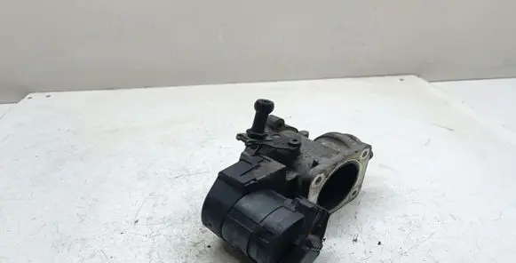 EGR valve