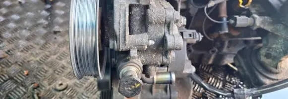 Skoda Octavia Mk1 (1U) Power steering pump 038145255b