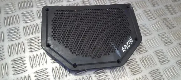 Side speaker trim/cover