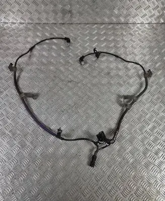 Lexus NX Brake wiring harness 