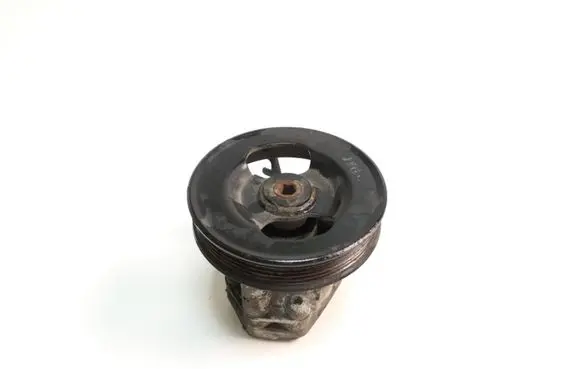 KIA Carnival Power steering pump 9725C302