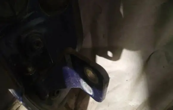Renault Laguna I Rear door lower hinge