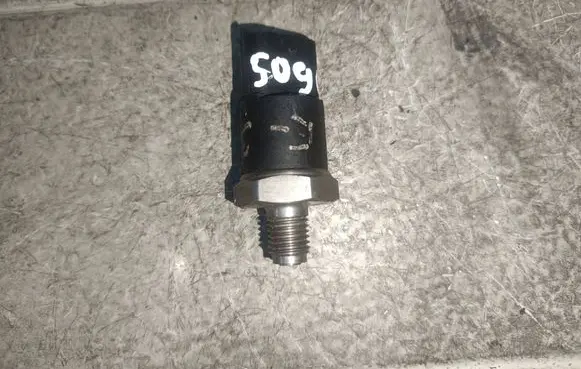 BMW 5 E39 Fuel pressure sensor 0281002405