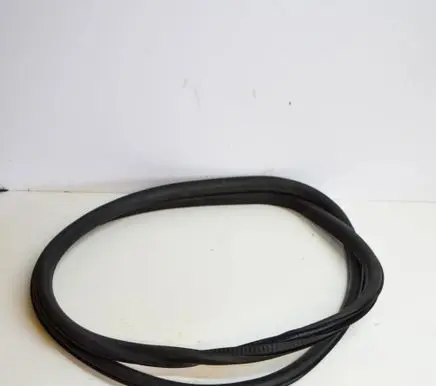 Opel Insignia A Rubber seal front coupe door 
