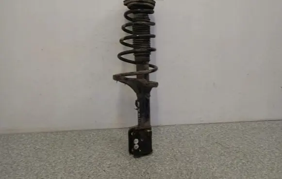 Hyundai Tucson JM Front shock absorber with coil spring